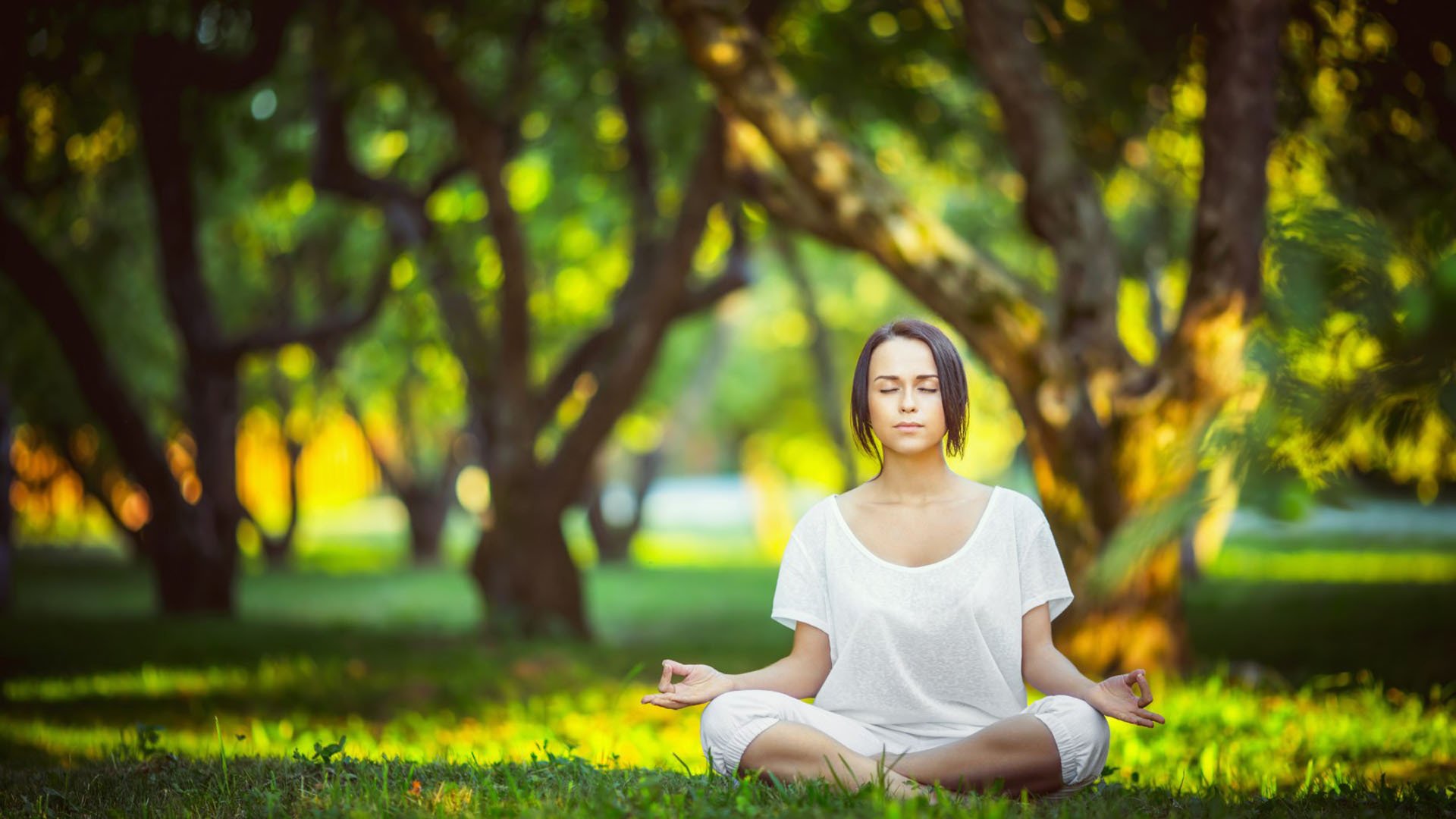 网坛天后阿扎伦卡跨界电竞首秀，关键助攻爆冷击败MAD